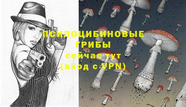 молекула духа Алексин