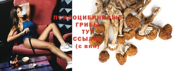 спайс Алексеевка