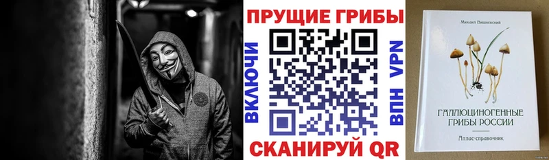 Галлюциногенные грибы Cubensis Рыбное